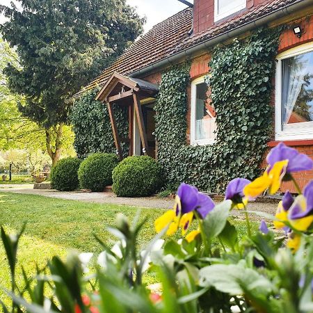 Am Alten Haus Altenmedingen Esterno foto
