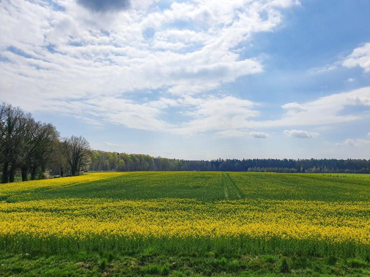 Am Alten Haus Altenmedingen Esterno foto