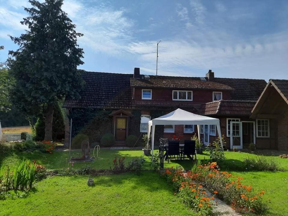Am Alten Haus Altenmedingen Esterno foto